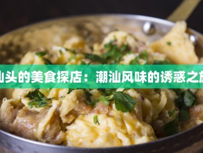 汕头的美食探店：潮汕风味的诱惑之旅