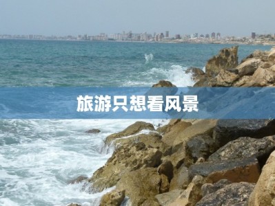 旅游只想看风景
