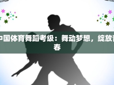 中国体育舞蹈考级：舞动梦想，绽放青春
