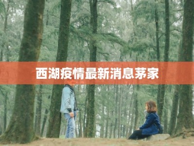 坐姿舞蹈讲解：居家优雅，舞动身心新风尚