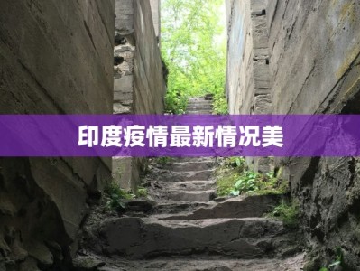 印度疫情最新情况美