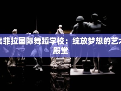 索菲拉国际舞蹈学校：绽放梦想的艺术殿堂