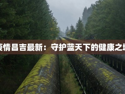 疫情昌吉最新：守护蓝天下的健康之城