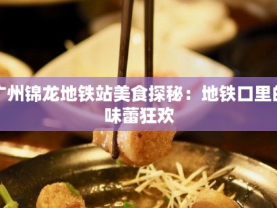 广州锦龙地铁站美食探秘：地铁口里的味蕾狂欢