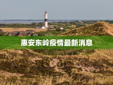 惠安东岭疫情最新消息